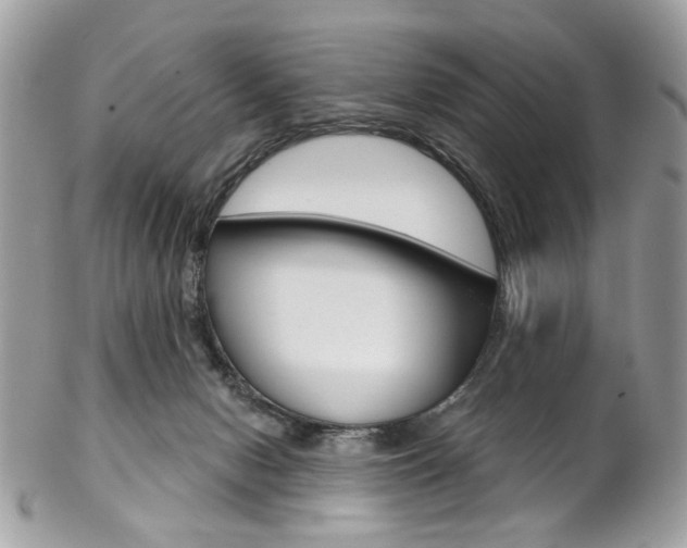 X0000102850078200808181056