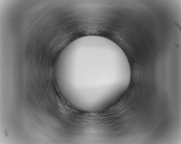 X0000102850079200808181056