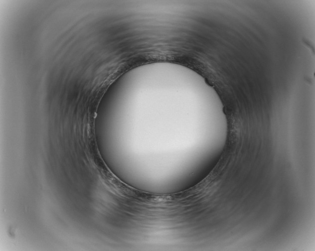 X0000102850080200808181056