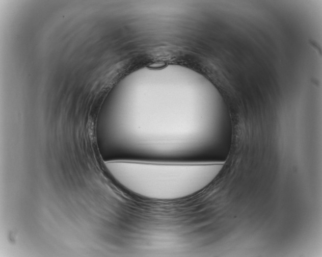 X0000102850081200808181056