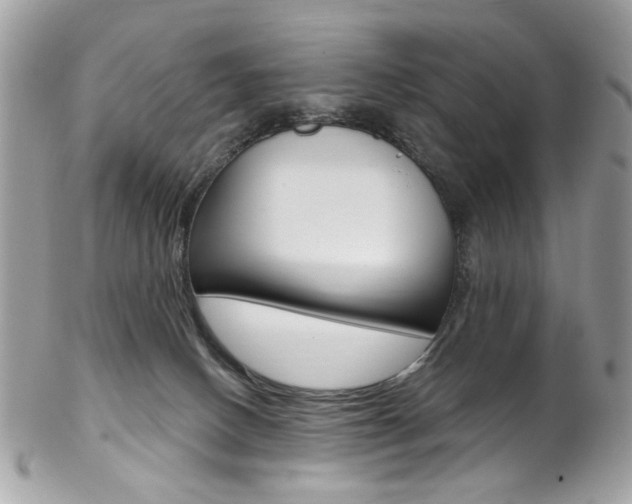 X0000102850082200808181056