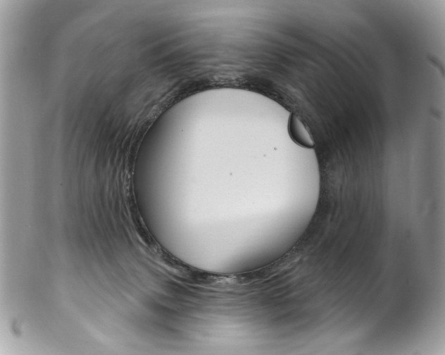 X0000102850083200808181056