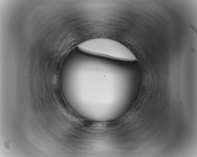 X0000102850084200808181056