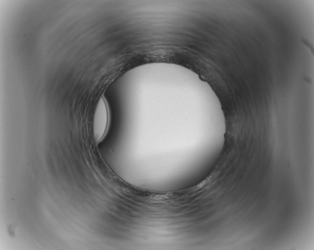 X0000102850086200808181056