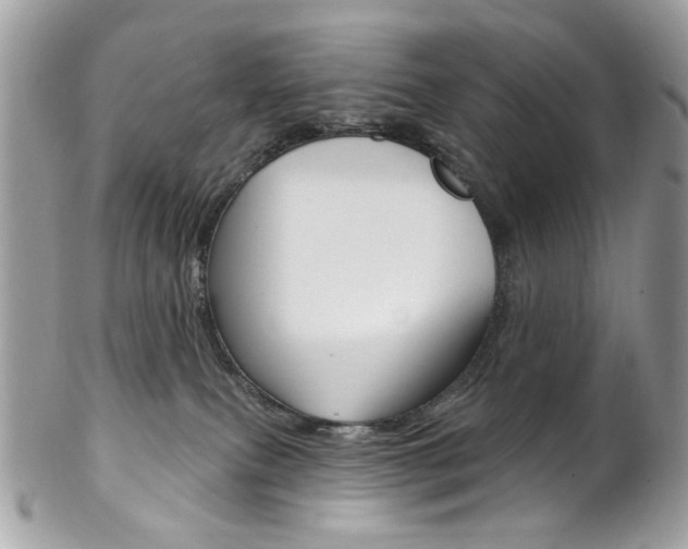 X0000102850087200808181056