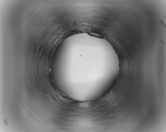 X0000102850088200808181056