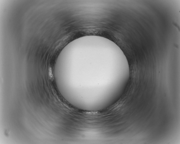 X0000102850089200808181056
