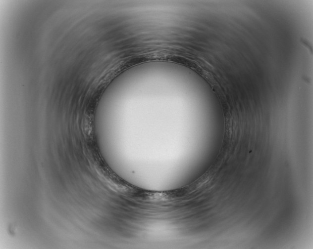 X0000102850091200808181056