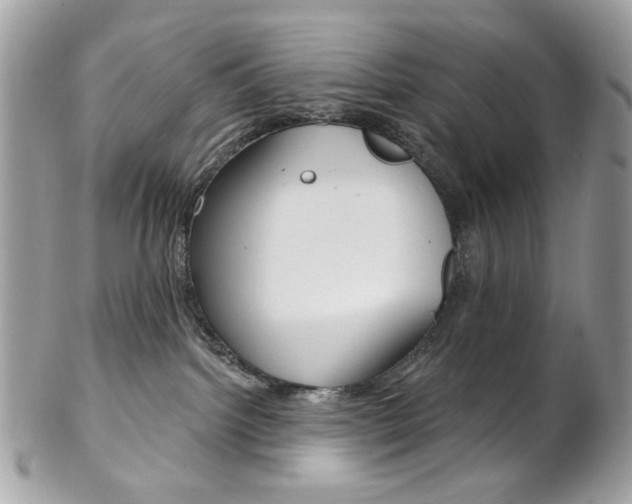 X0000102850092200808181056