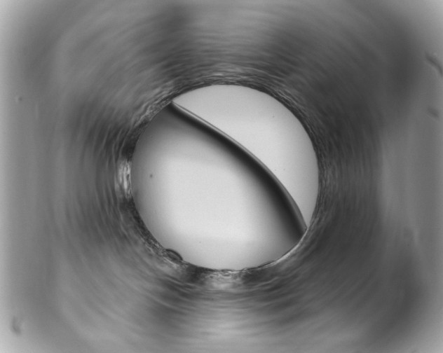 X0000102850094200808181056