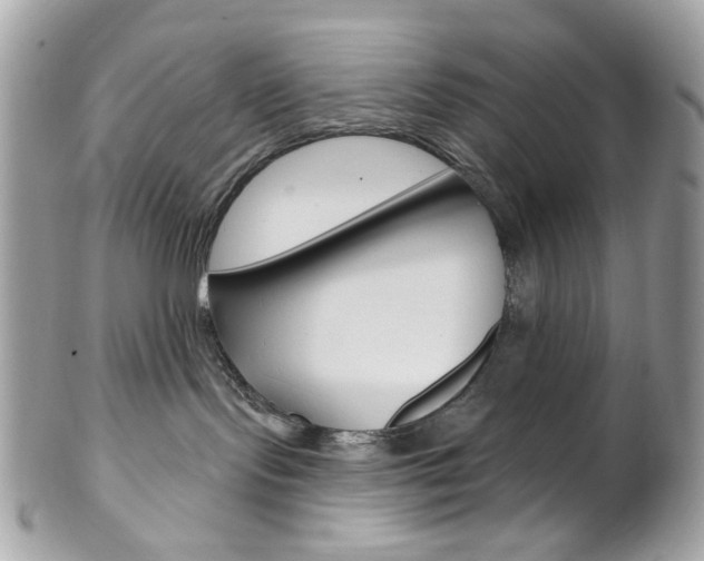 X0000102850095200808181056
