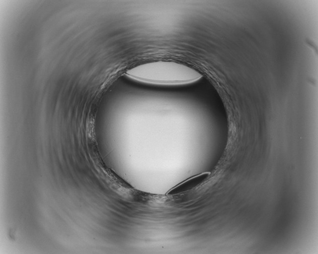 X0000102850096200808181056