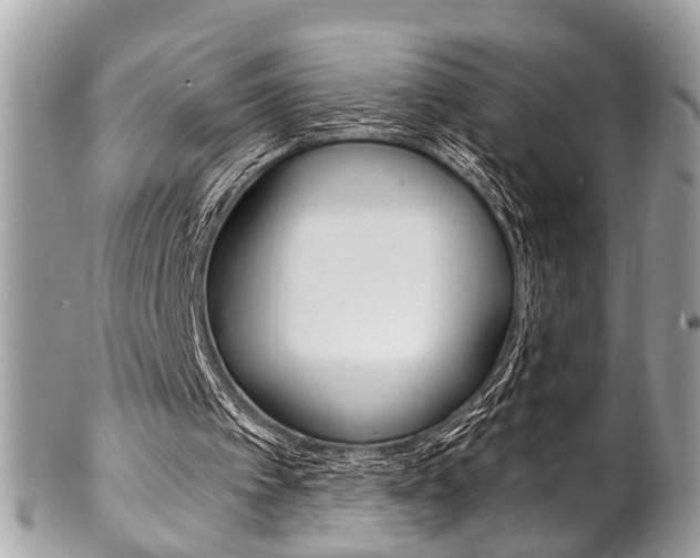 X0000102850097200808181056