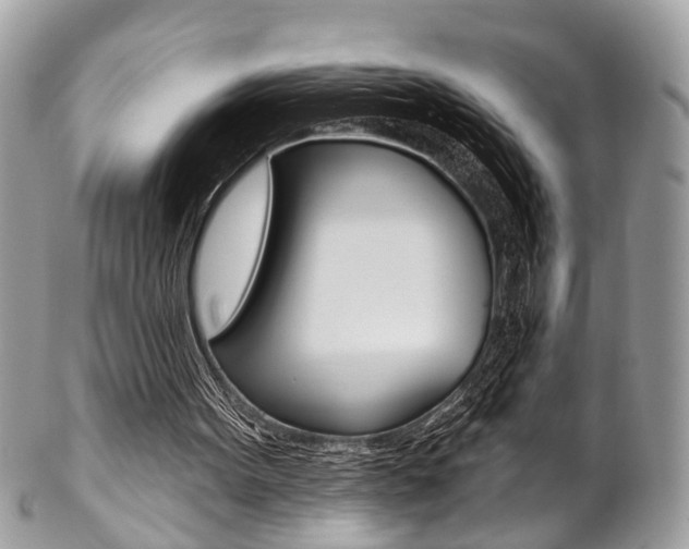 X0000102850099200808181056
