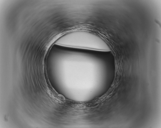 X0000102850100200808181056