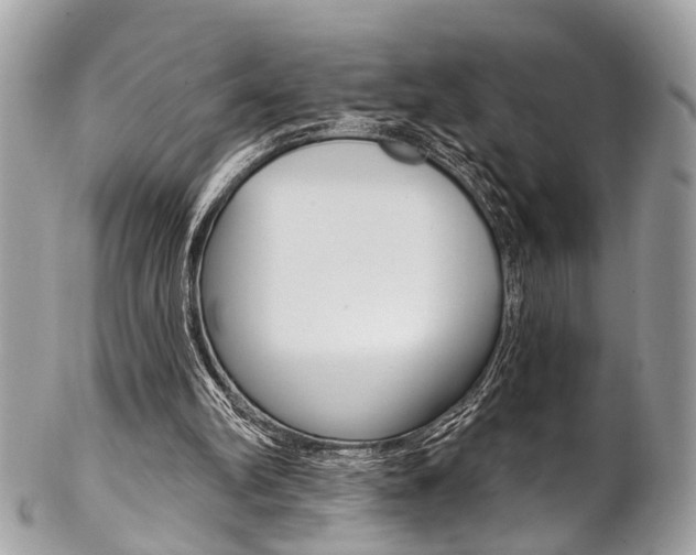 X0000102850102200808181055