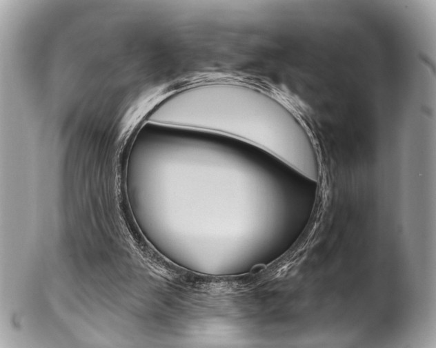 X0000102850103200808181055