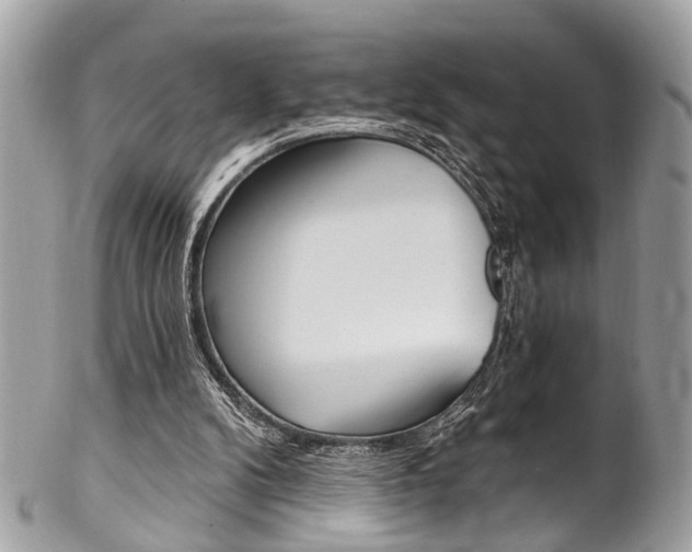 X0000102850104200808181055