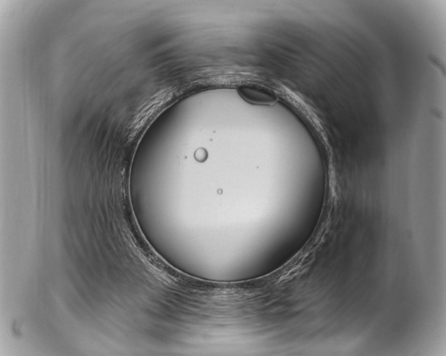 X0000102850105200808181055