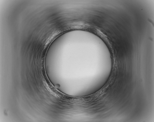 X0000102850106200808181055