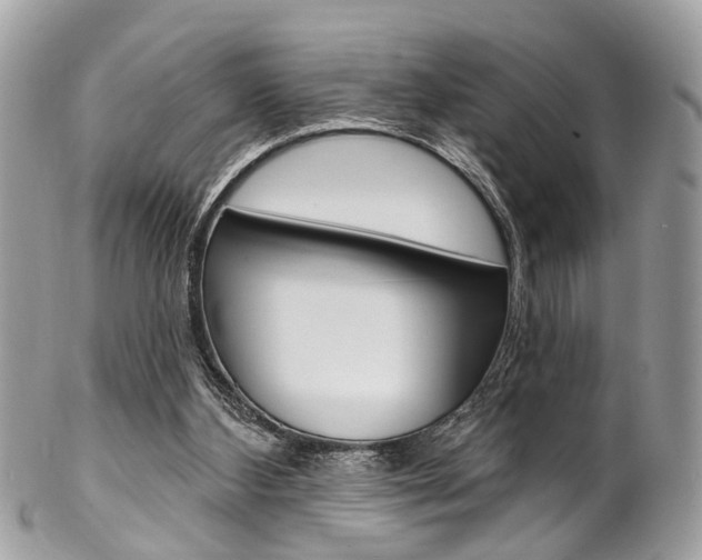 X0000102850108200808181055