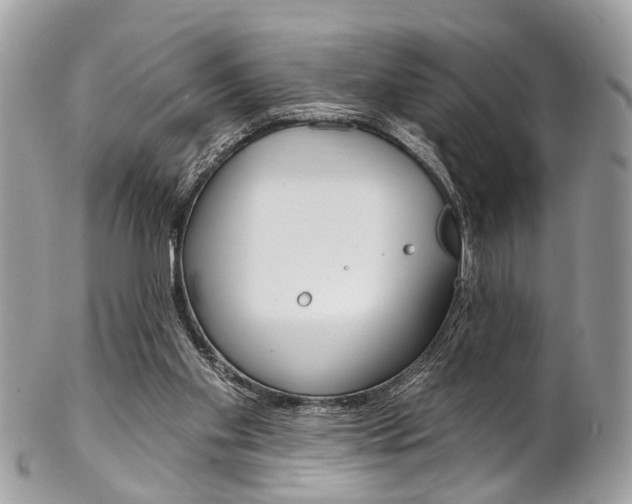 X0000102850109200808181055