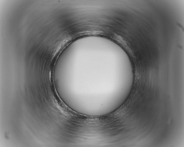 X0000102850110200808181055