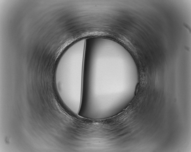 X0000102850111200808181055