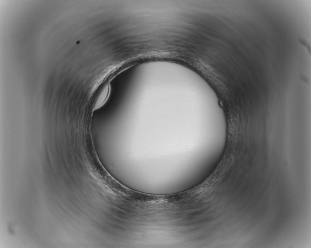 X0000102850112200808181055