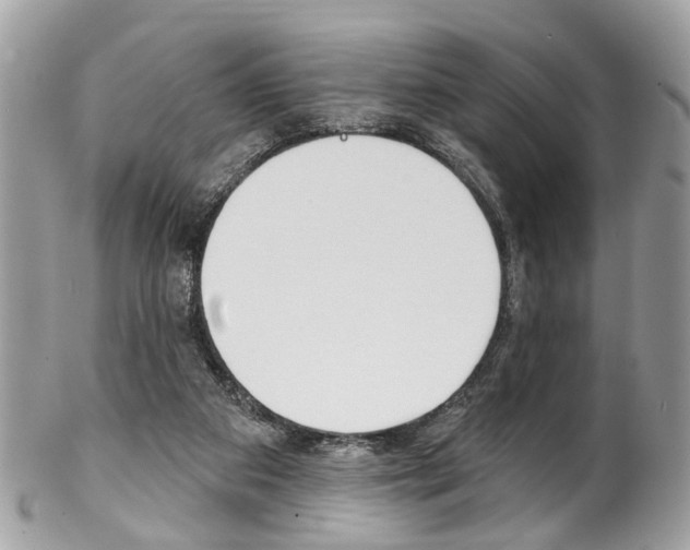 X0000102850113200808181055