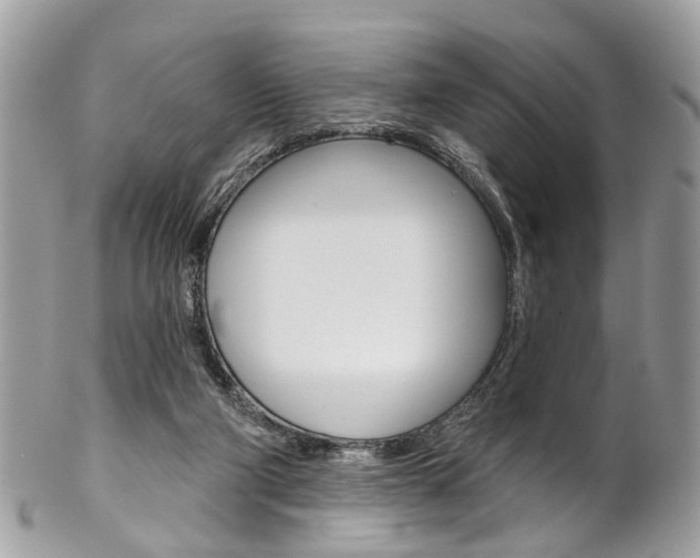 X0000102850114200808181055