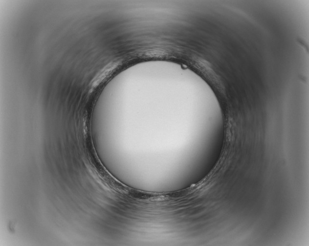 X0000102850116200808181055