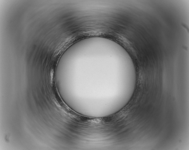 X0000102850118200808181055