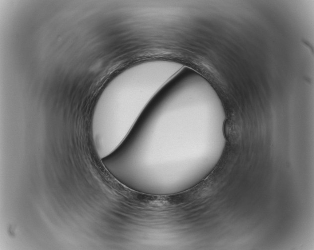 X0000102850119200808181055