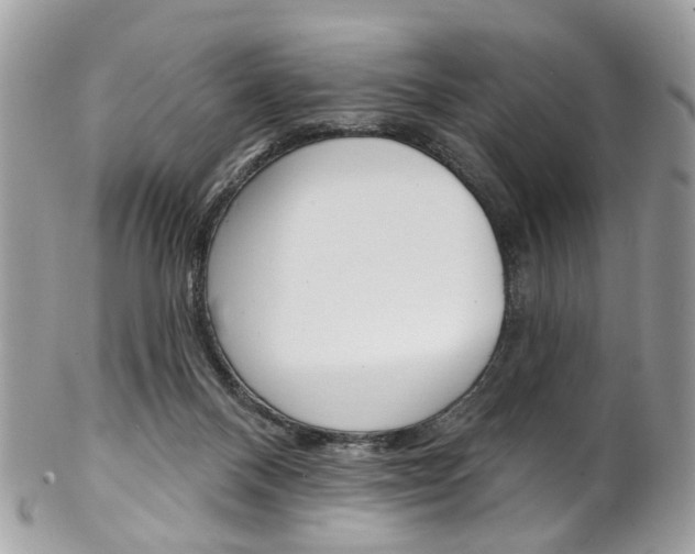 X0000102850120200808181055