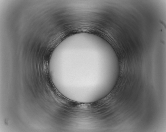 X0000102850126200808181055