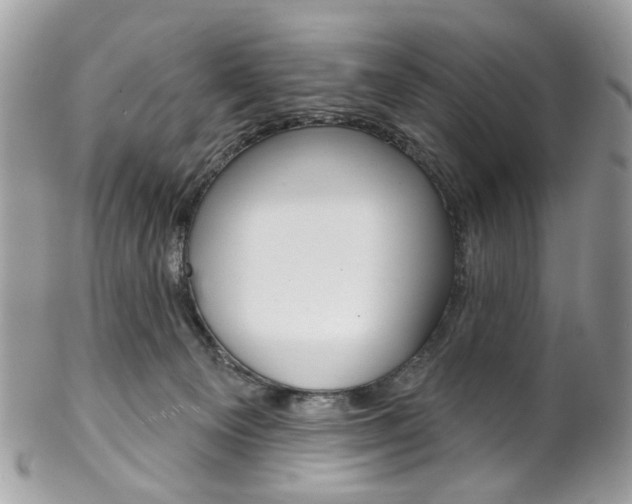 X0000102850129200808181055