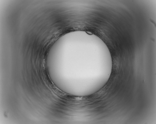 X0000102850130200808181055