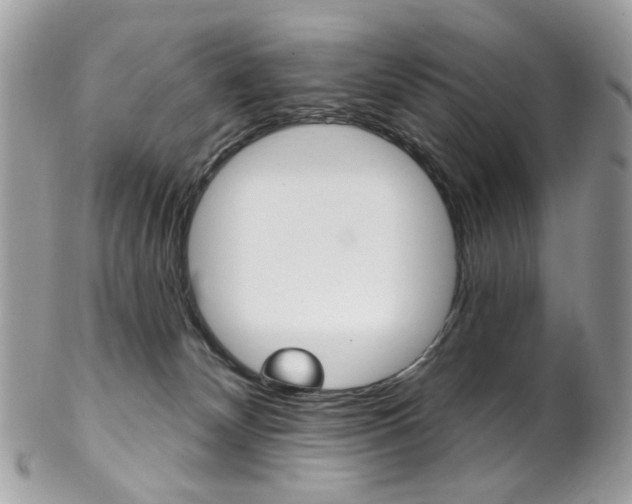 X0000102850132200808181055