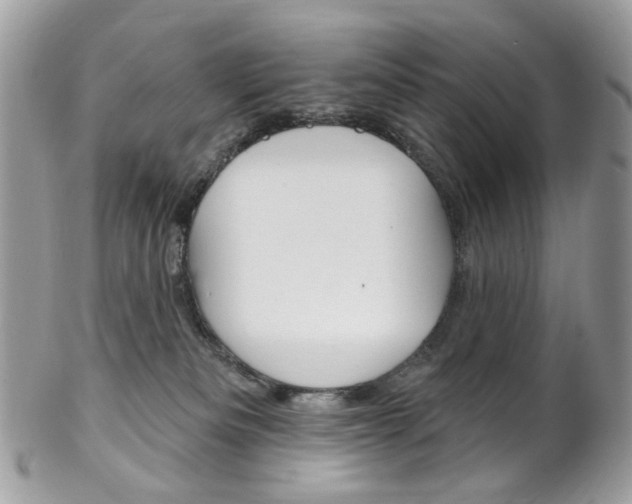 X0000102850133200808181055