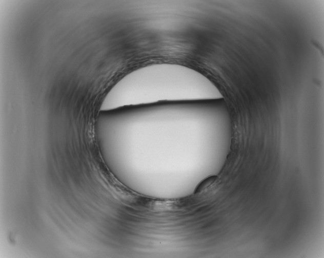 X0000102850134200808181055