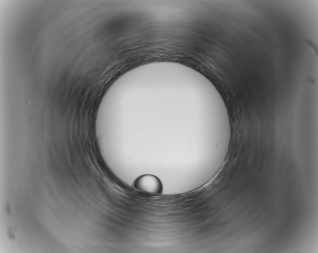 X0000102850136200808181055