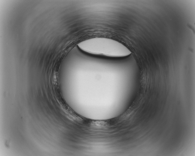 X0000102850137200808181055