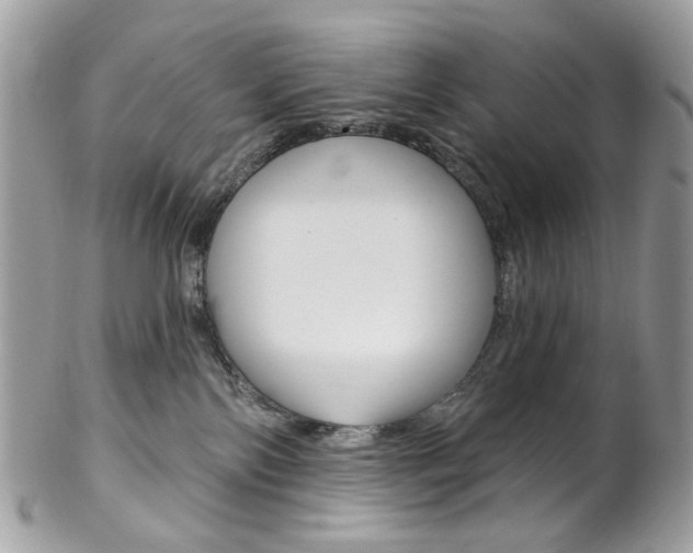 X0000102850138200808181055