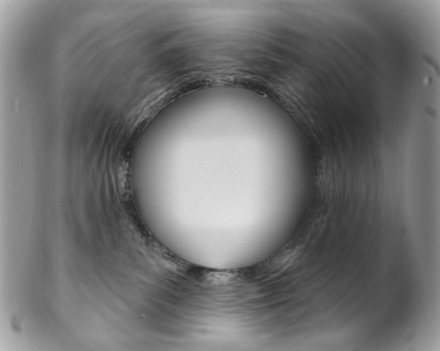 X0000102850139200808181055