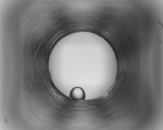 X0000102850140200808181055