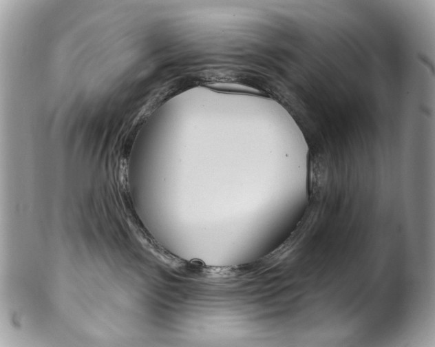 X0000102850141200808181055