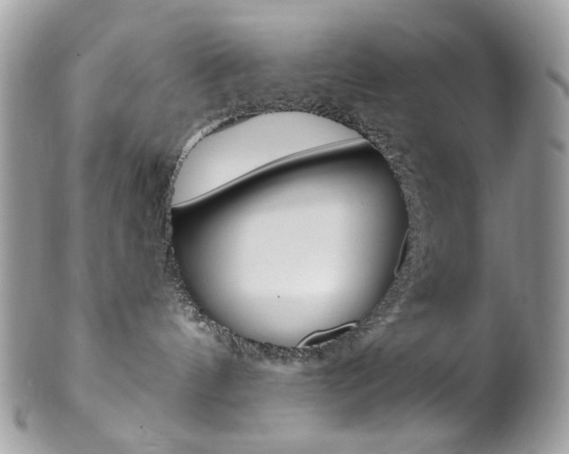 X0000102850144200808181055