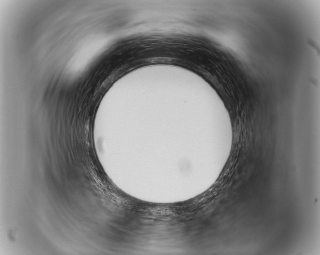 X0000102850146200808181054