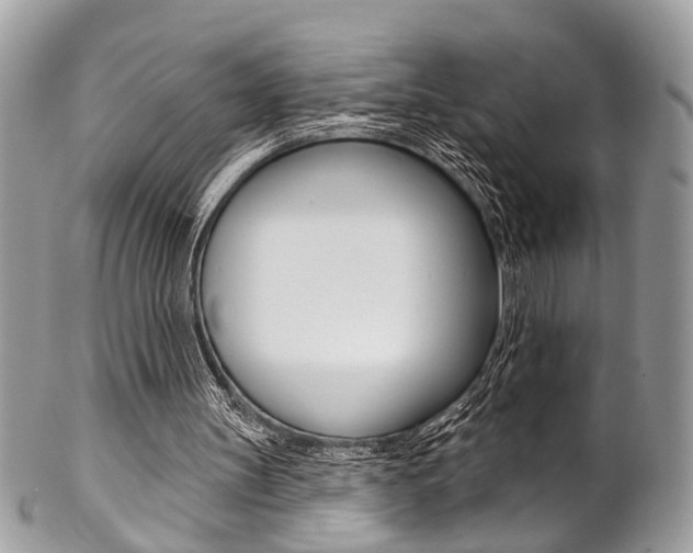 X0000102850147200808181054